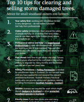 Top 10 tips for storms